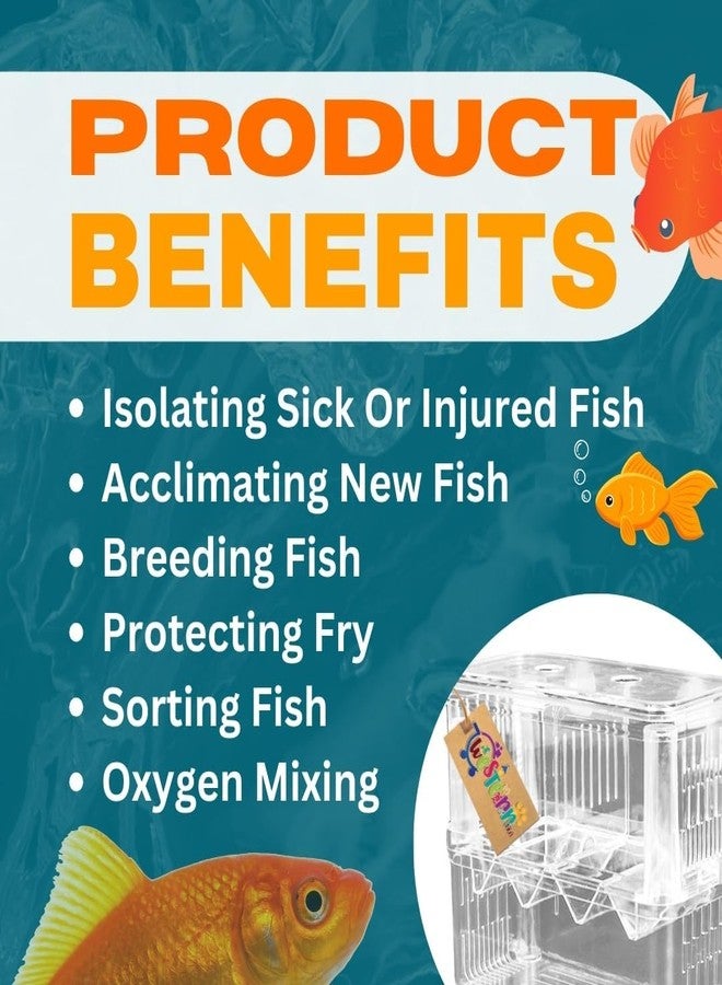 Western Era Fish Isolation Chamber Offers a Secure & efficient Method for segregating Fish in Aquarium, Adaptable Design Allows for Customized Aquarium Isolation Chamber (Small) - Image 2